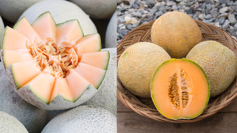 Eat melon in summer, know its many benefits related to health