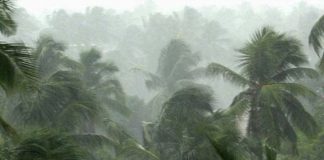 Heavy Rain in Kerala