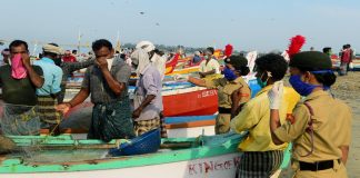 Fishing resumed; Sales restarted in Neendakara