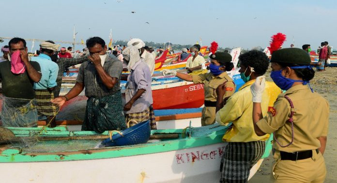 Fishing resumed; Sales restarted in Neendakara