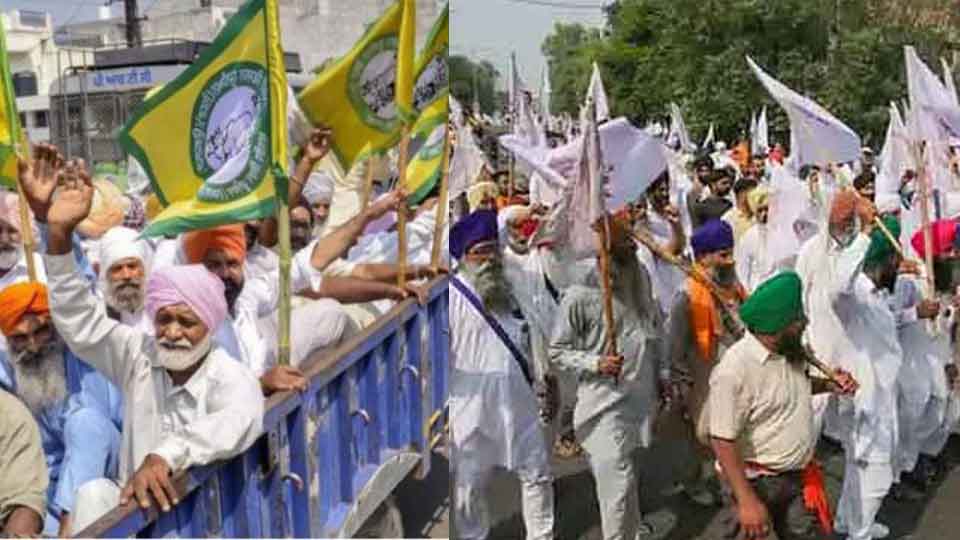 Farmers Protest against Agricultural Bill