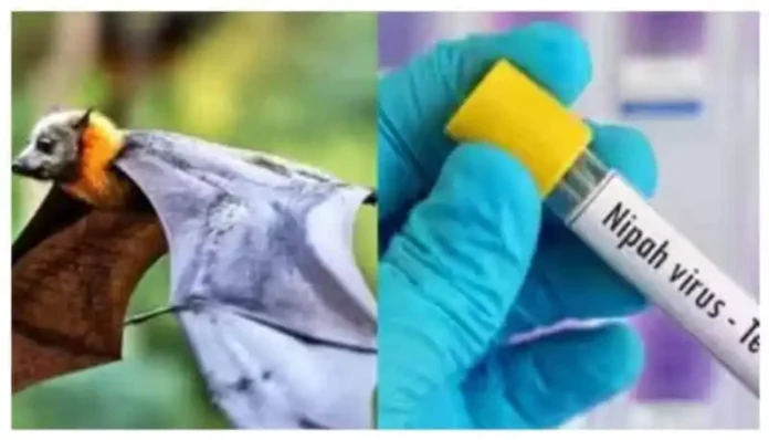 Health Department Intensifies Control Measures for Mpox and Nipah in Malappuram
