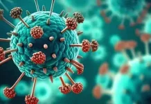 HMPV Cases in India Rise to Two, Confirms Karnataka Health Department