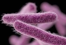 Potential Spread of Waterborne Diseases; Health Department Issues Warning