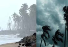 Possibility of Sea Erosion; Warning Issued for Kerala-Kanyakumari Coasts